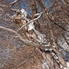 image link to photo gallery winter 42