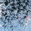 image link to photo gallery winter 44