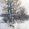 image link to photo gallery winter 46