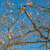 image link to photo gallery winter 48