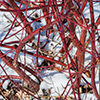 image link to photo gallery winter 49