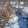 image link to photo gallery winter 51