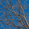 image link to photo gallery winter 53