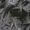 image link to gallery 68