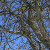 image link to photo gallery Winter 78
