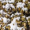 image link to photo gallery Winter 79