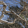 image link to photo gallery Winter 80