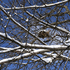 image link to photo gallery Winter 82