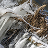 image link to photography galley for winter 85
