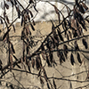 image link to photography galley for winter 87