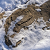 image link to photography galley for winter 88