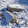 image link to photo gallery for winter 90