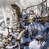 image link to photo gallery for winter 91