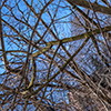 image link to photo gallery for winter 93