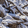 image link to photo gallery for winter 94