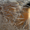 image link to season's winter image gallery 98