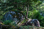 image: link to August 26, 2015 walk