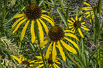 image link to a gallery of photographs