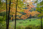 image link to September 24, 2020 walk gallery